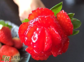 草莓花束怎么做？草莓花束怎么扎起來？