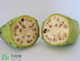 野香蕉可以吃嗎？野香蕉怎么吃？