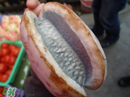 野香蕉可以吃嗎？野香蕉怎么吃？