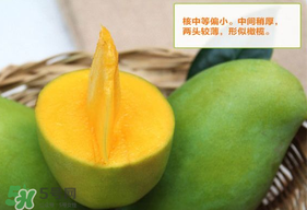 青芒果硬的能吃嗎？青芒果沒熟能吃嗎？