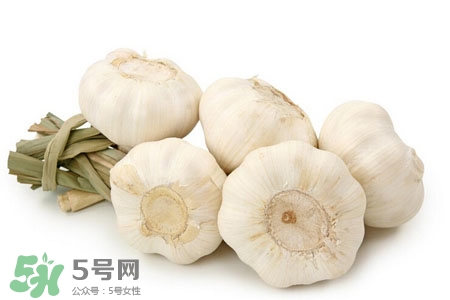 大蒜可以預防禽流感嗎？預防禽流感能吃大蒜嗎？