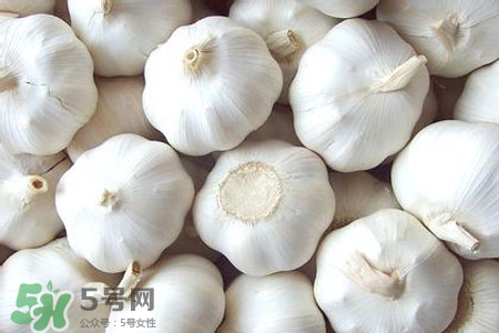 大蒜熱量是多少？吃大蒜會胖嗎？