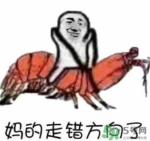 說人皮皮蝦是什么意思？女生叫男生皮皮蝦什么意思？