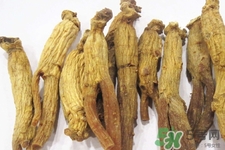 高麗參適合什么人吃？什么人不能吃高麗參？