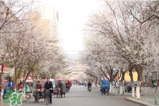 倒春寒是一種什么冷？倒春寒為什么會冷？