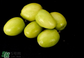 吃青棗可以減肥嗎？減肥可以吃青棗嗎？