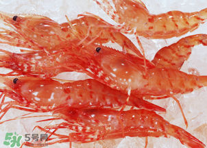 蝦凍了一年還能吃嗎？蝦凍了半年還能吃嗎？