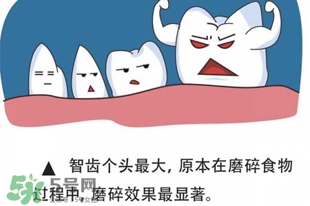 智齒經(jīng)常發(fā)炎怎么辦？智齒反復(fù)發(fā)炎腫痛怎么辦？