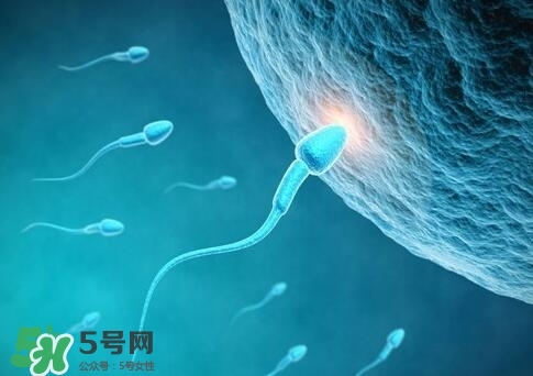 如何提高精子質(zhì)量與成活率？精子質(zhì)量怎么調(diào)理？