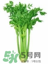 負卡路里的食物有哪些？負卡路里食物真的吃不胖嗎？