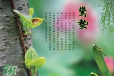 驚蟄吃什么蔬菜好？驚蟄節氣養生吃什么蔬菜？