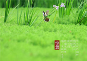 驚蟄吃什么蔬菜好？驚蟄節氣養生吃什么蔬菜？