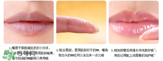 愛麗小屋唇部磨砂膏怎么樣？愛麗小屋唇部磨砂膏和悅詩風吟哪個好？