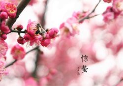 驚蟄如何養生？驚蟄前后如何養生？