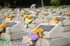 平時可以去掃墓嗎？平常可以去上墳嗎？