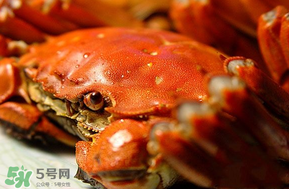三月份吃什么螃蟹？3月份吃什么螃蟹？