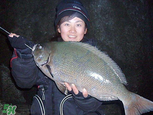 3月份釣魚用什么餌料？三月份釣魚用什么魚餌？