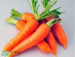薺菜能和胡蘿卜一起吃嗎？薺菜可以和胡蘿卜一起吃嗎？