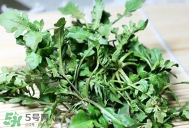 薺菜能和青菜一起吃嗎？薺菜和青菜一起吃好嗎？
