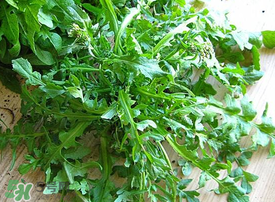 薺菜上有白點能吃嗎？薺菜背面有白點是什么？