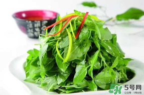 薺菜不能和什么一起吃？薺菜和什么相克？