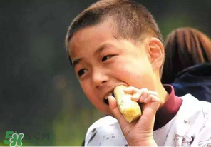 春天能吃甘蔗嗎？春天吃甘蔗有什么好處？