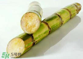 春天能吃甘蔗嗎？春天吃甘蔗有什么好處？