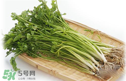 吃野芹菜會(huì)中毒嗎？吃野芹菜中毒了怎么辦？
