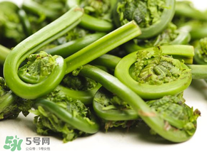 蕨菜怎么洗？蕨菜怎么清洗才干凈？