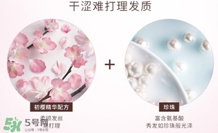 淳萃水舞櫻花護發素多少錢？淳萃水舞櫻花護發素價格