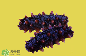 春天能吃海參嗎？春天吃海參效果好嗎？