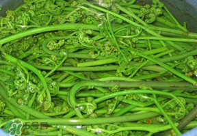 蕨菜怎么洗？蕨菜怎么清洗才干凈？