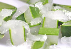出水痘能用蘆薈膠嗎？水痘破了能擦蘆薈膠嗎？