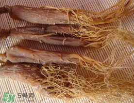 春天能吃紅參嗎？春天可以吃紅參嗎？