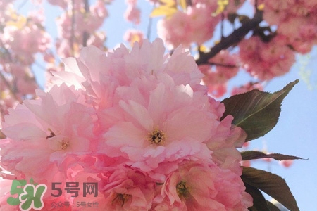 春分可以回娘家嗎？春分能在娘家過(guò)夜嗎？