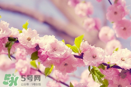春分可以回娘家嗎？春分能在娘家過(guò)夜嗎？