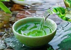 清明茶什么時候采？采清明茶什么時候結束？
