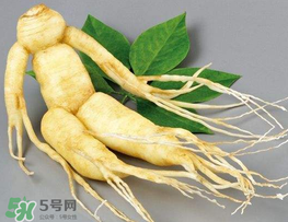 春天能吃高麗參嗎？春天可以喝高麗參湯嗎？