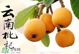 枇杷能放冰箱嗎？枇杷可以放冰箱保存嗎？