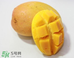 芒果什么季節(jié)成熟？芒果什么時(shí)候上市？