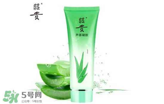 2017蘆薈膠哪個牌子好？2017蘆薈膠品牌推薦