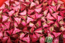 3月份的菱角可以吃嗎？菱角什么時候吃最好？