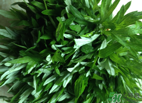 清明草是艾草嗎？清明菜是什么草？
