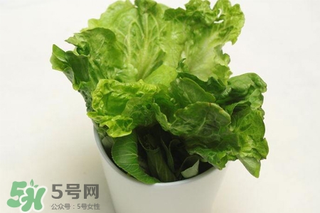 春菜為什么會苦？春菜發苦能吃嗎？