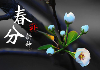 春分吃春菜有什么好處？春菜有什么營養(yǎng)價值？