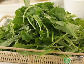 薺菜有毒嗎？吃薺菜會(huì)中毒嗎？
