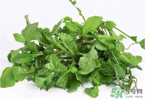 薺菜有毒嗎？吃薺菜會(huì)中毒嗎？