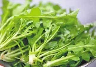 便秘能吃薺菜嗎？便秘可以吃薺菜嗎？