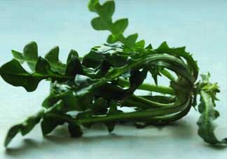 乙肝能吃薺菜嗎？乙肝病人可以吃薺菜嗎？