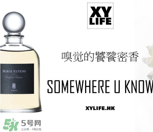 serge lutens蘆丹氏香水哪款好聞？鹵蛋蘆丹氏香水推薦